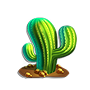 Cactus Cactus